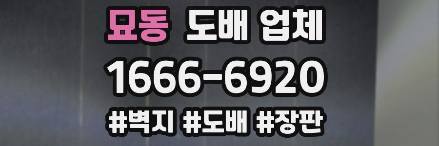 묘동 도배 업체