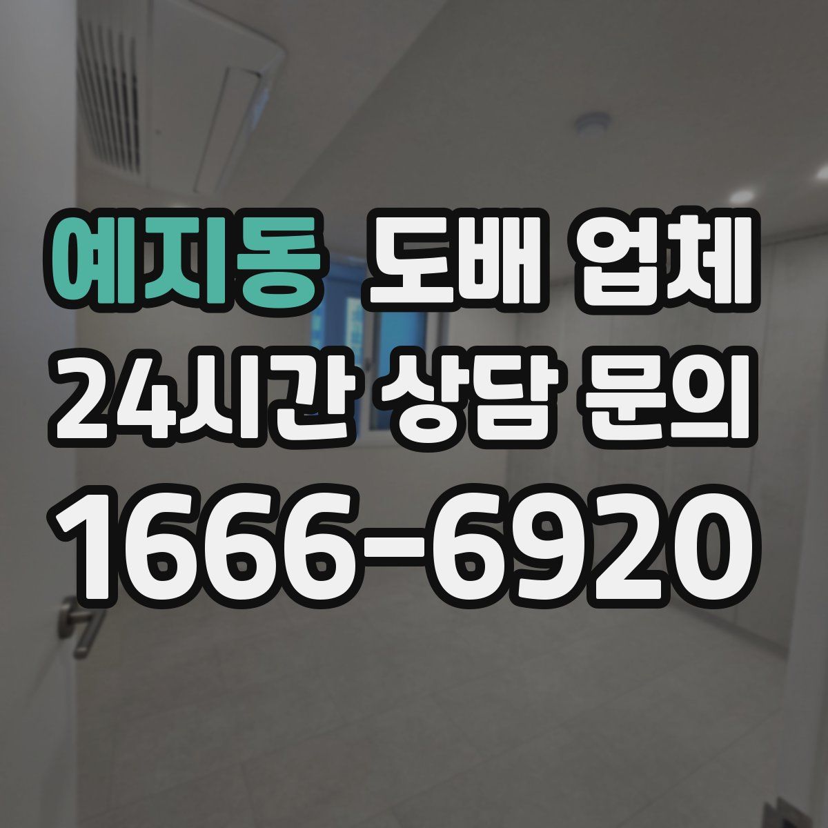 예지동 도배 업체