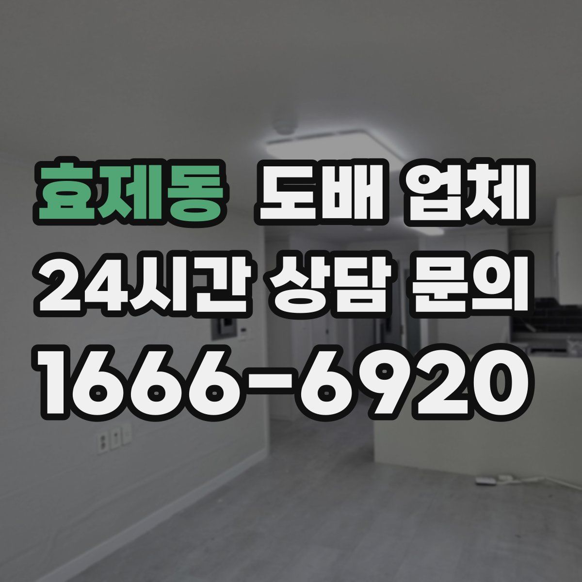 효제동 도배 업체
