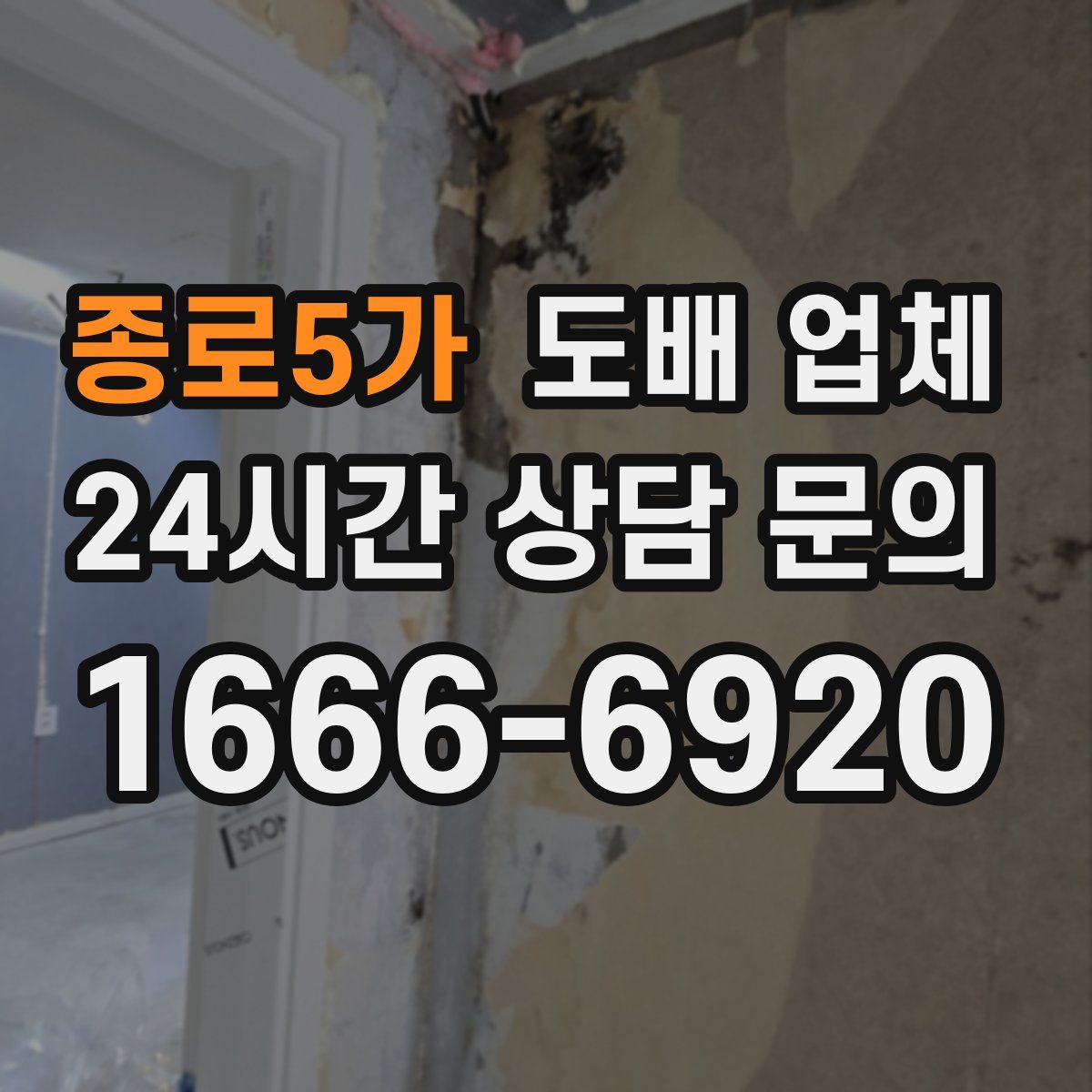 종로5가 도배 업체