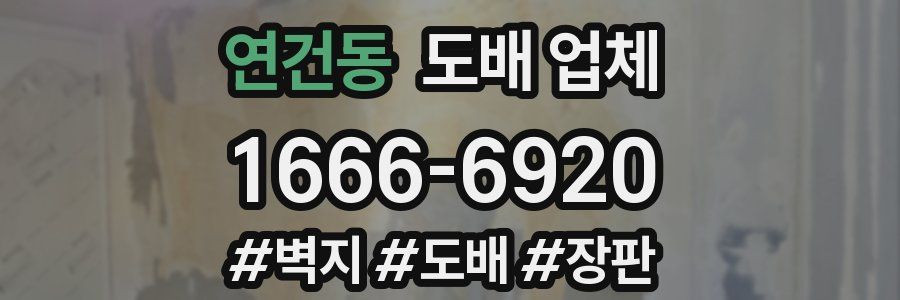 연건동 도배 업체