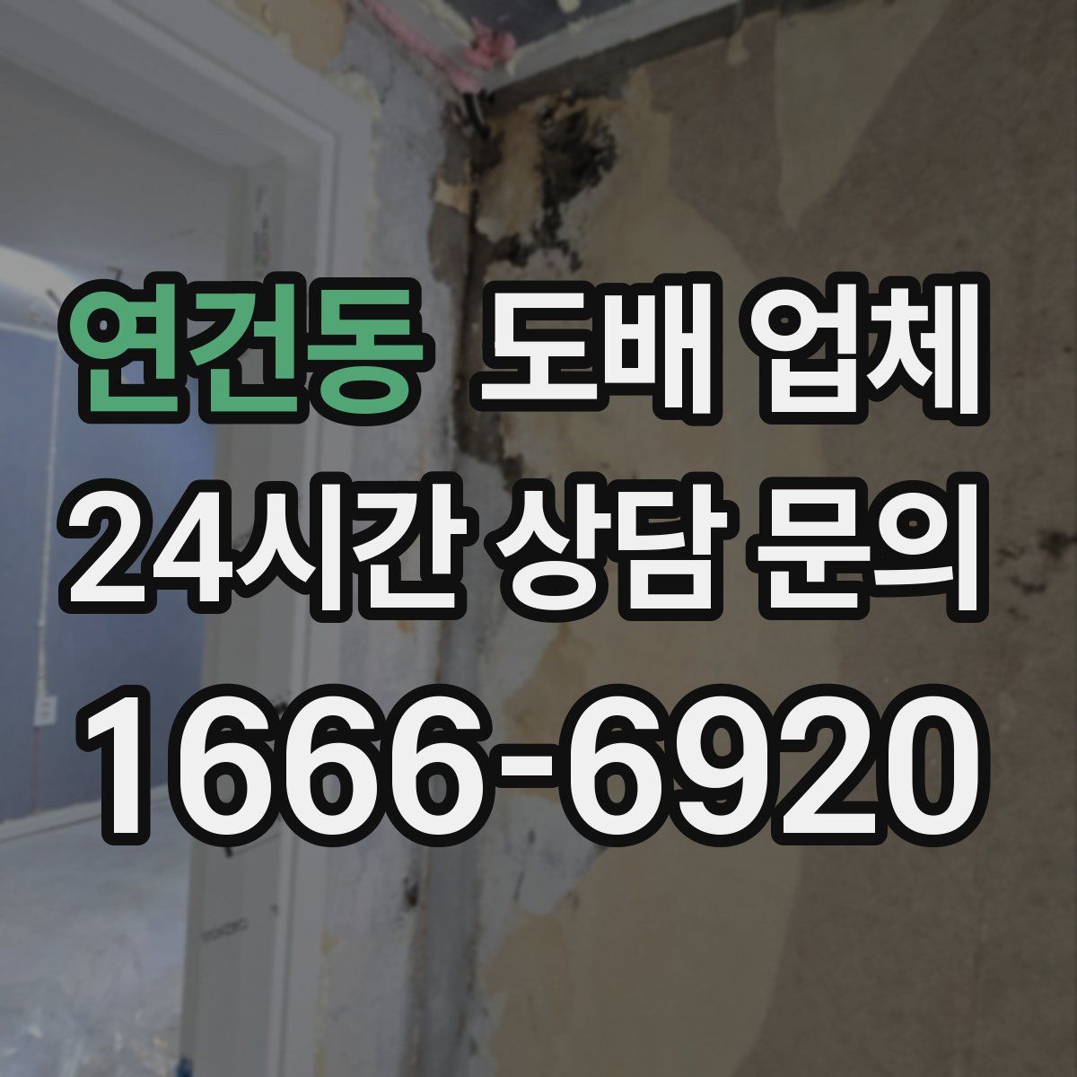 연건동 도배 업체