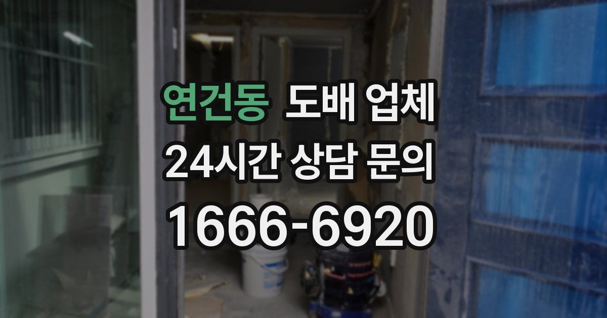 연건동 도배 업체
