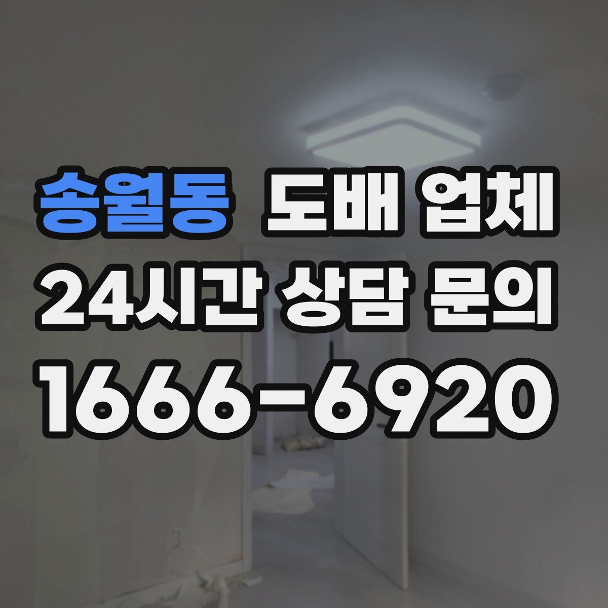 송월동 도배 업체