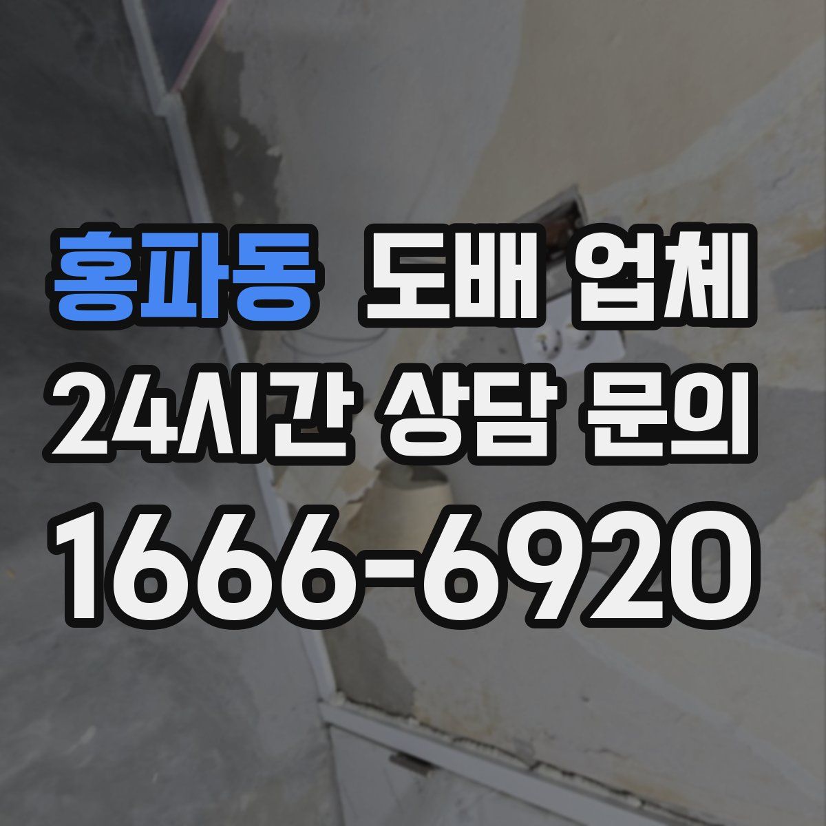 홍파동 도배 업체