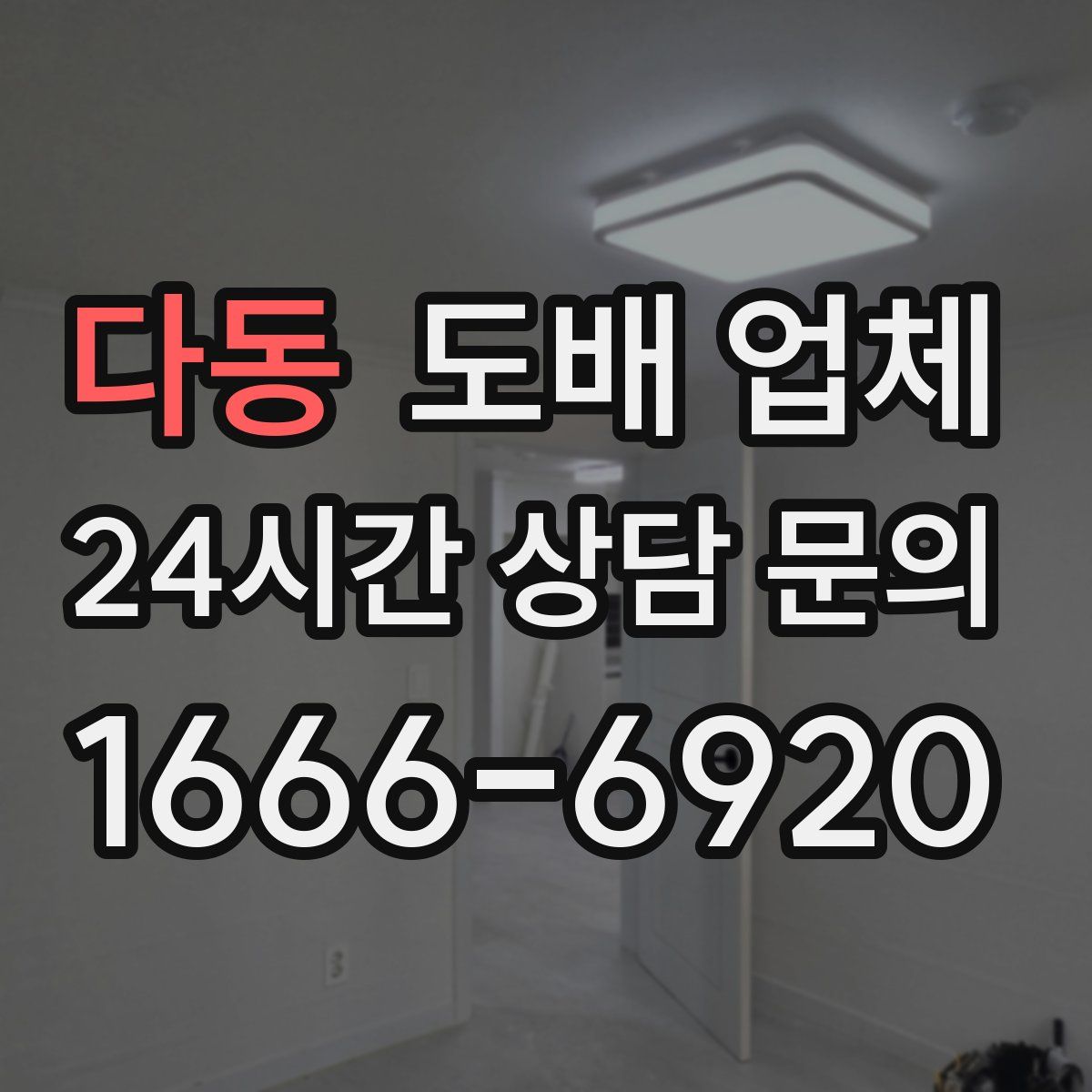 다동 도배 업체