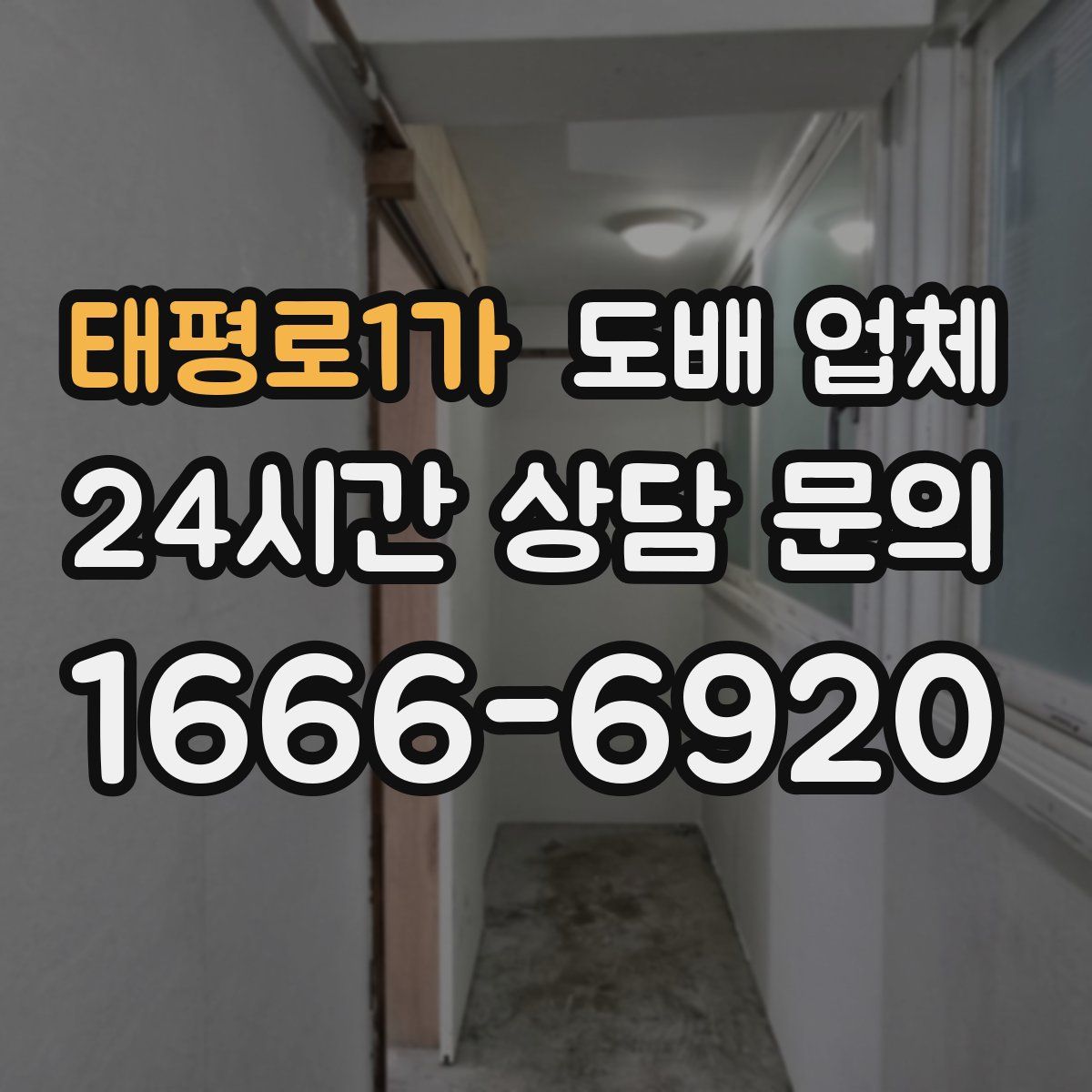 태평로1가 도배 업체