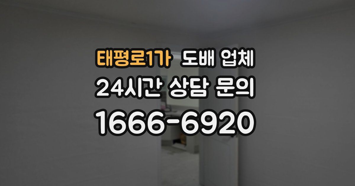 태평로1가 도배 업체