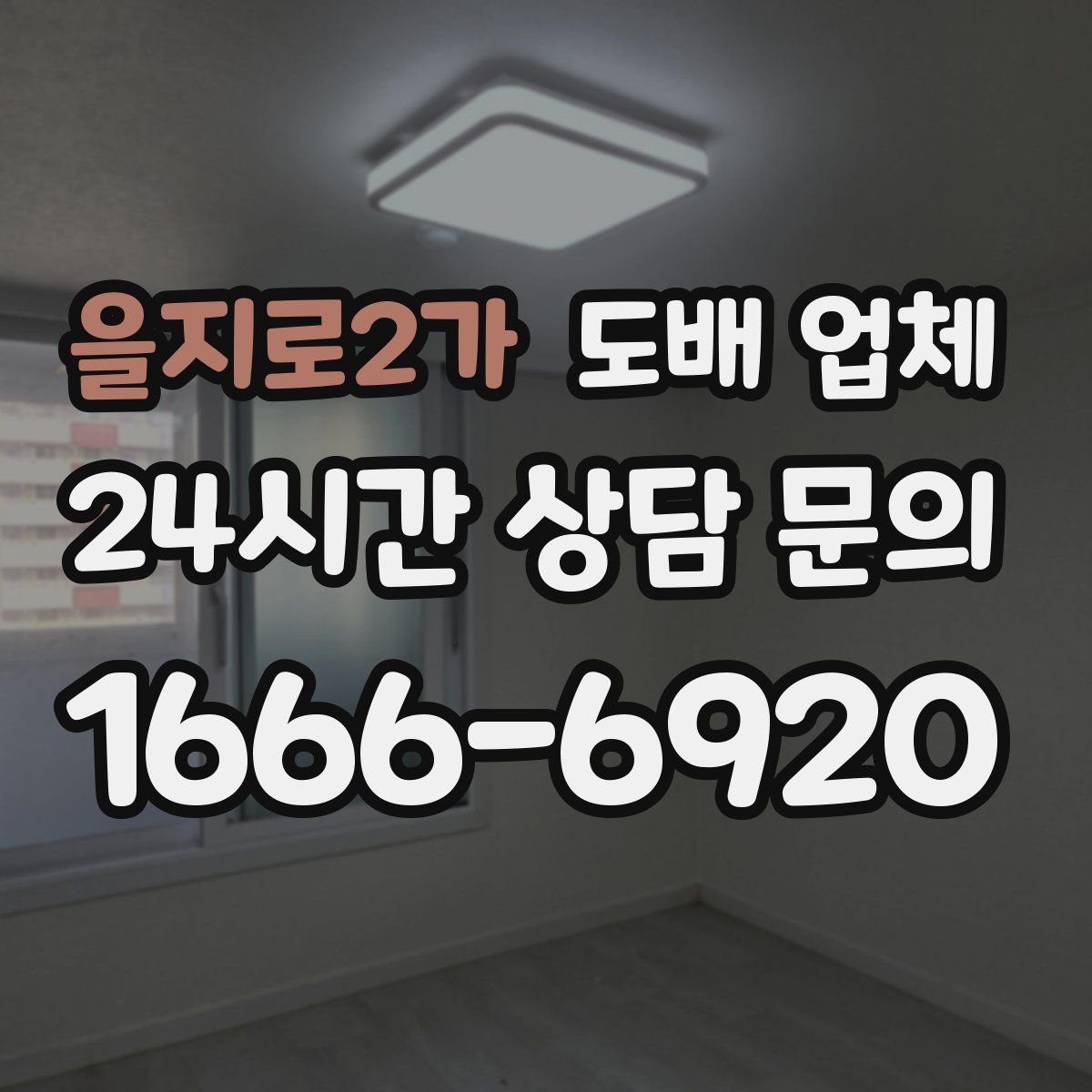 을지로2가 도배 업체