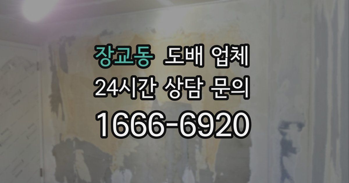 장교동 도배 업체