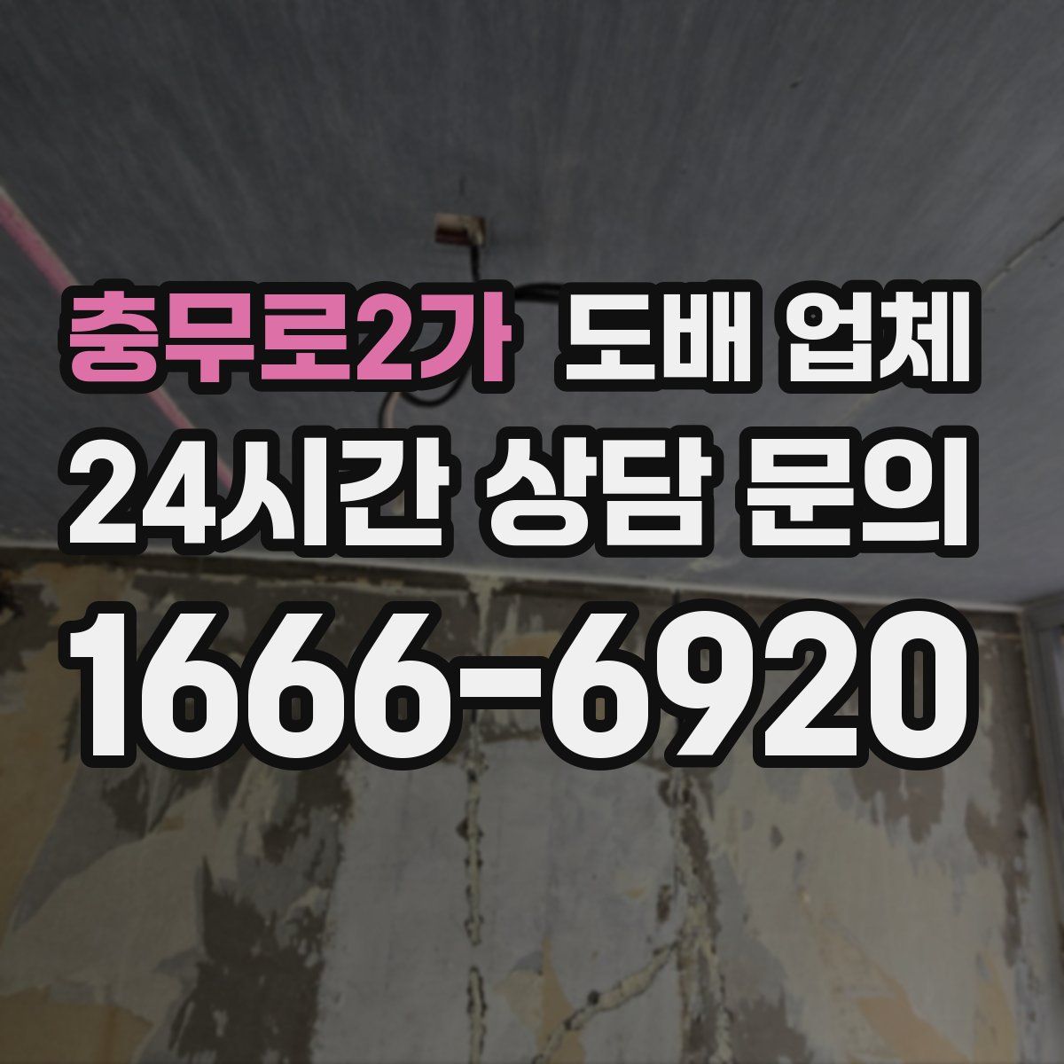 충무로2가 도배 업체