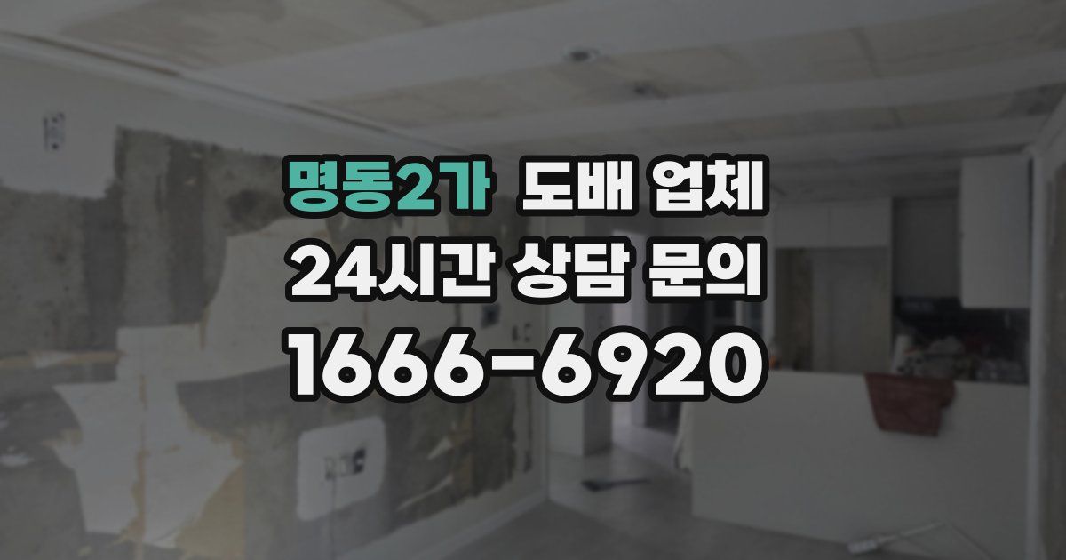 명동2가 도배 업체