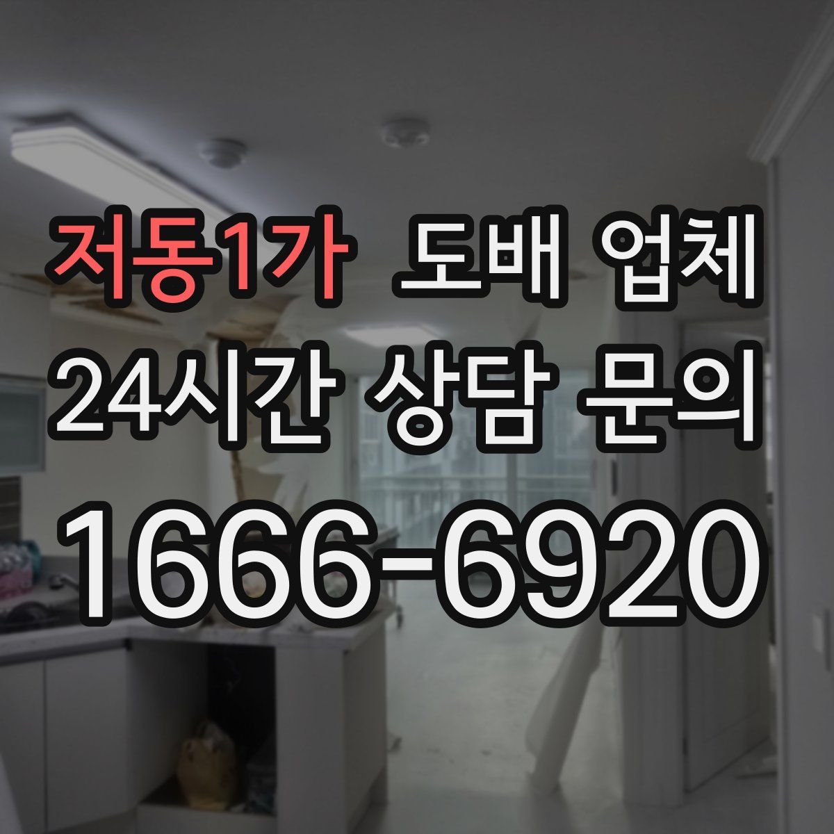 저동1가 도배 업체