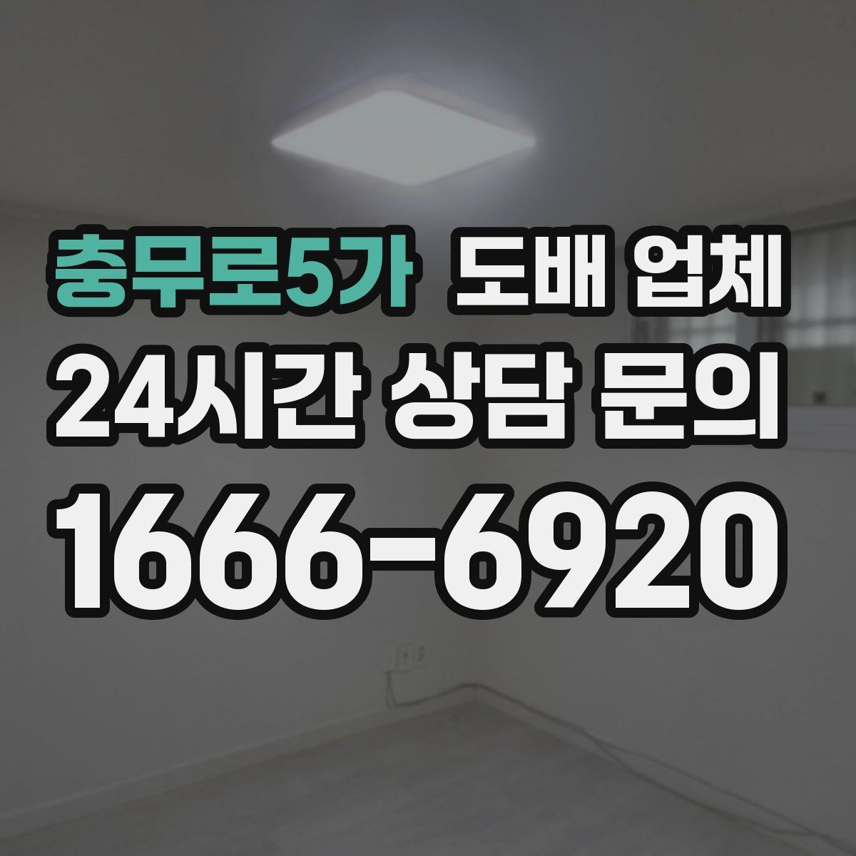 충무로5가 도배 업체