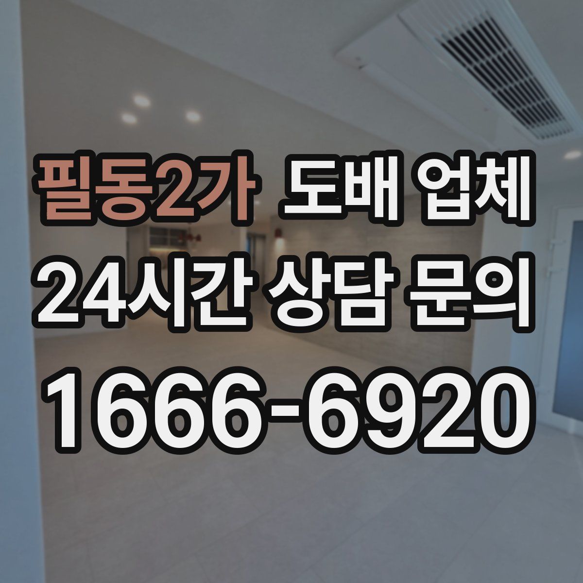 필동2가 도배 업체