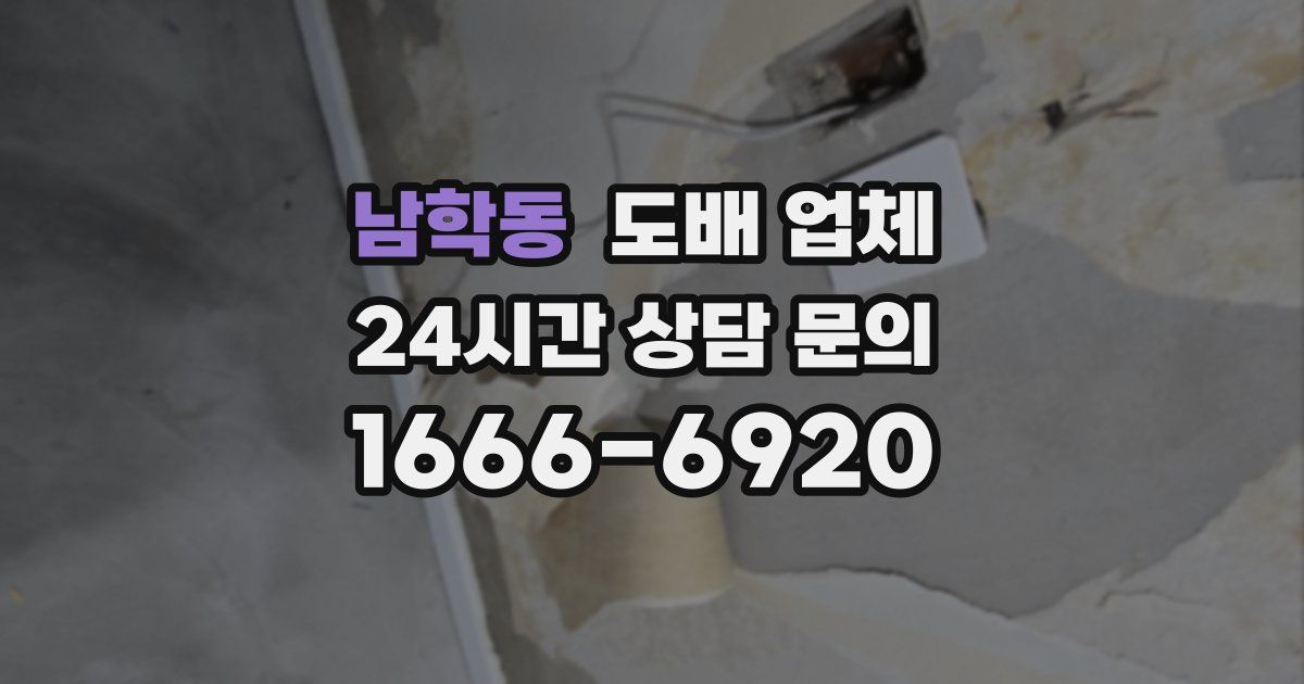 남학동 도배 업체