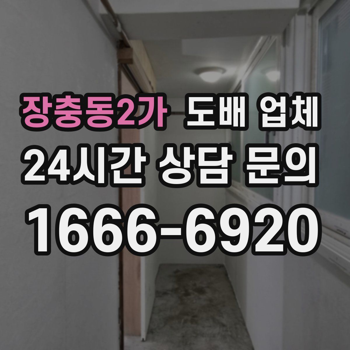 장충동2가 도배 업체