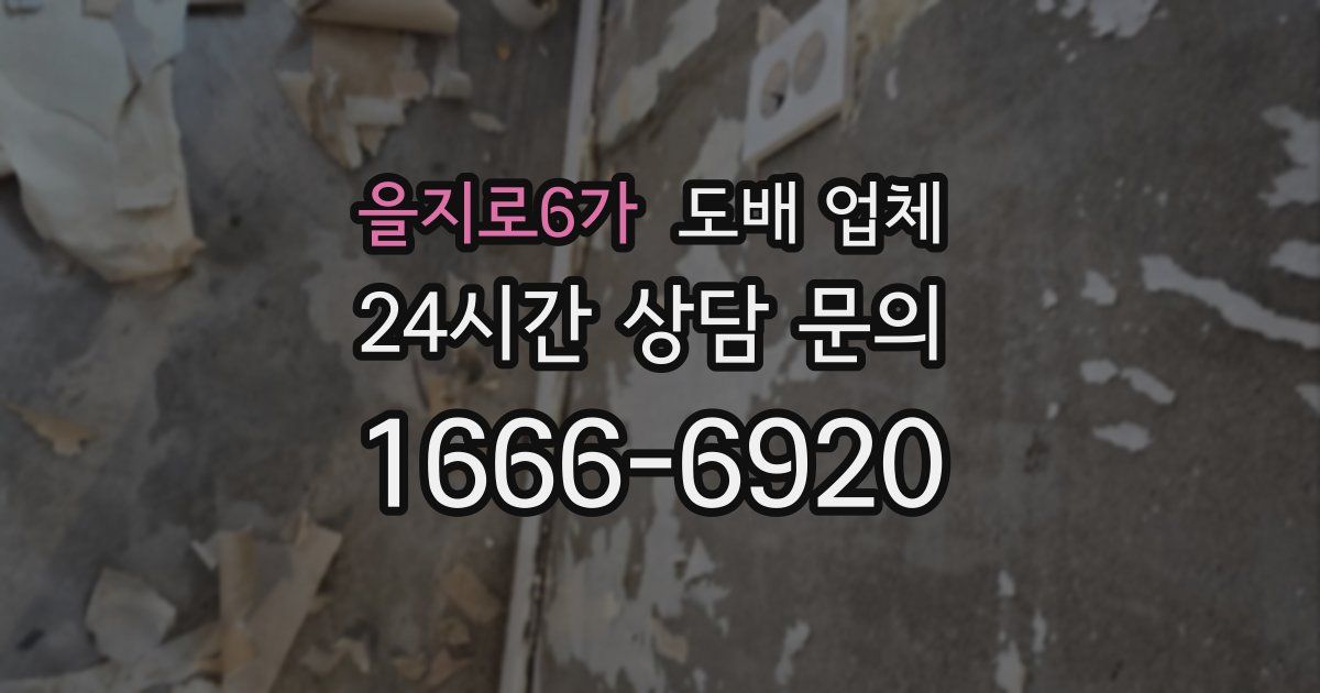 을지로6가 도배 업체