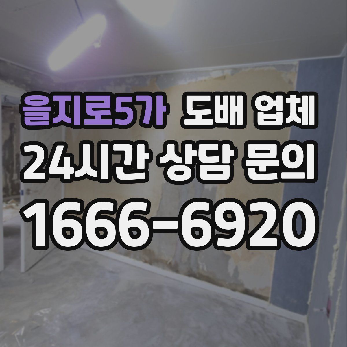 을지로5가 도배 업체
