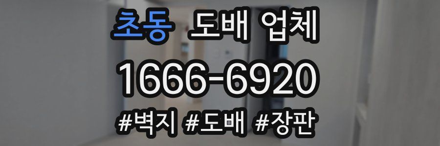 초동 도배 업체