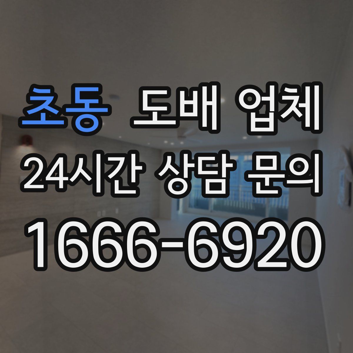 초동 도배 업체