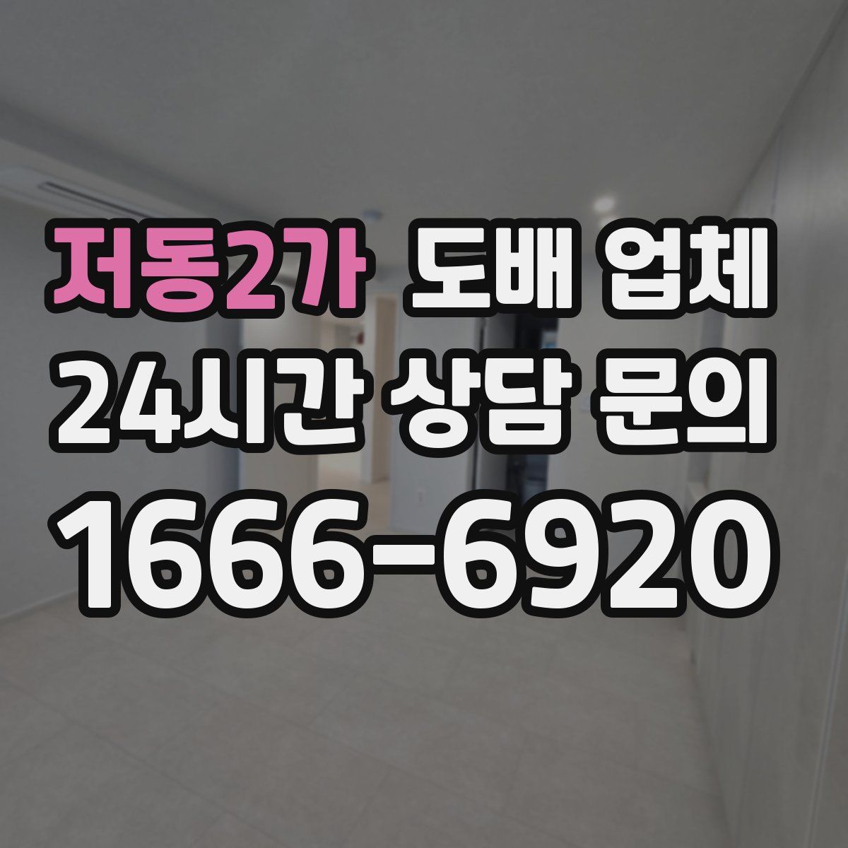 저동2가 도배 업체