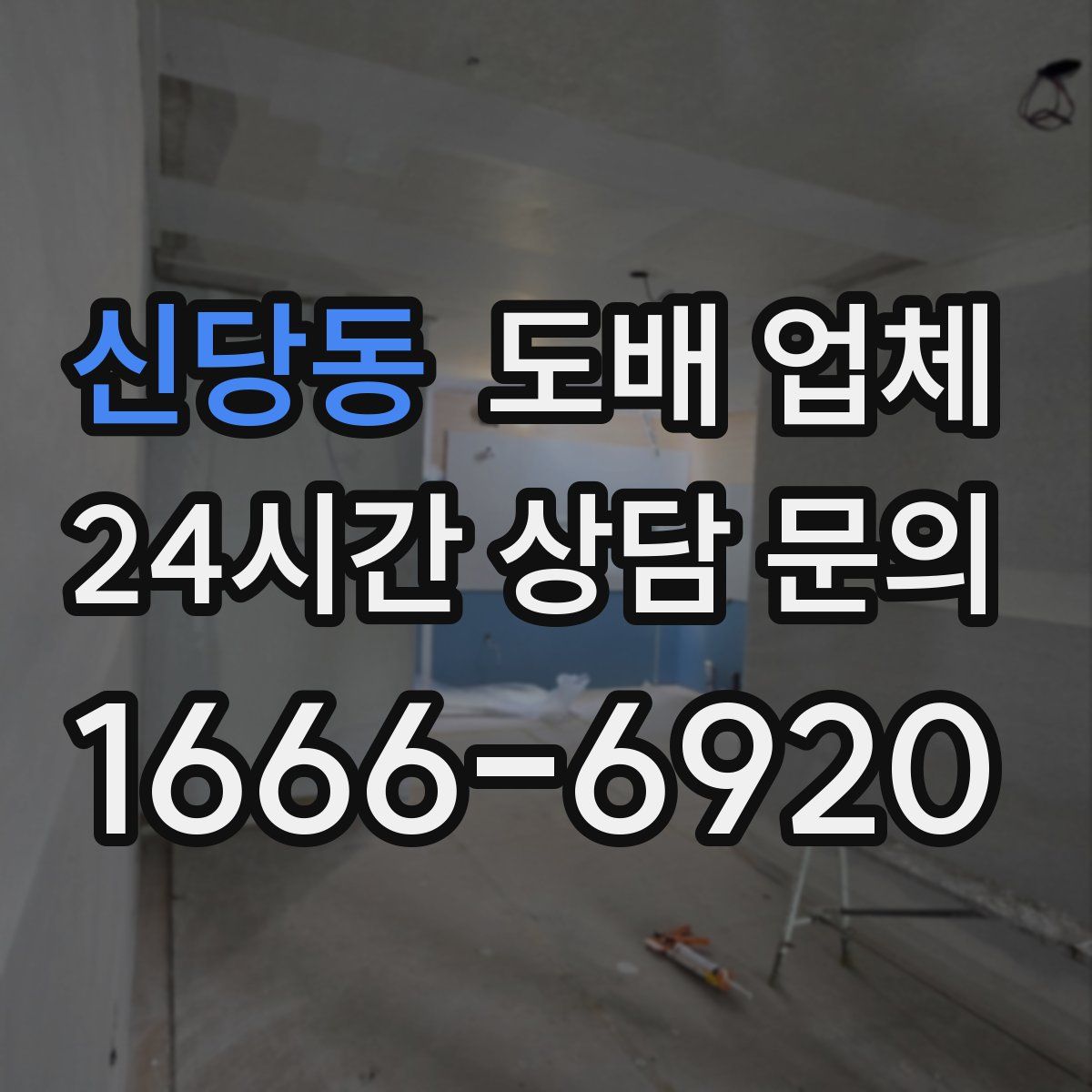 신당동 도배 업체