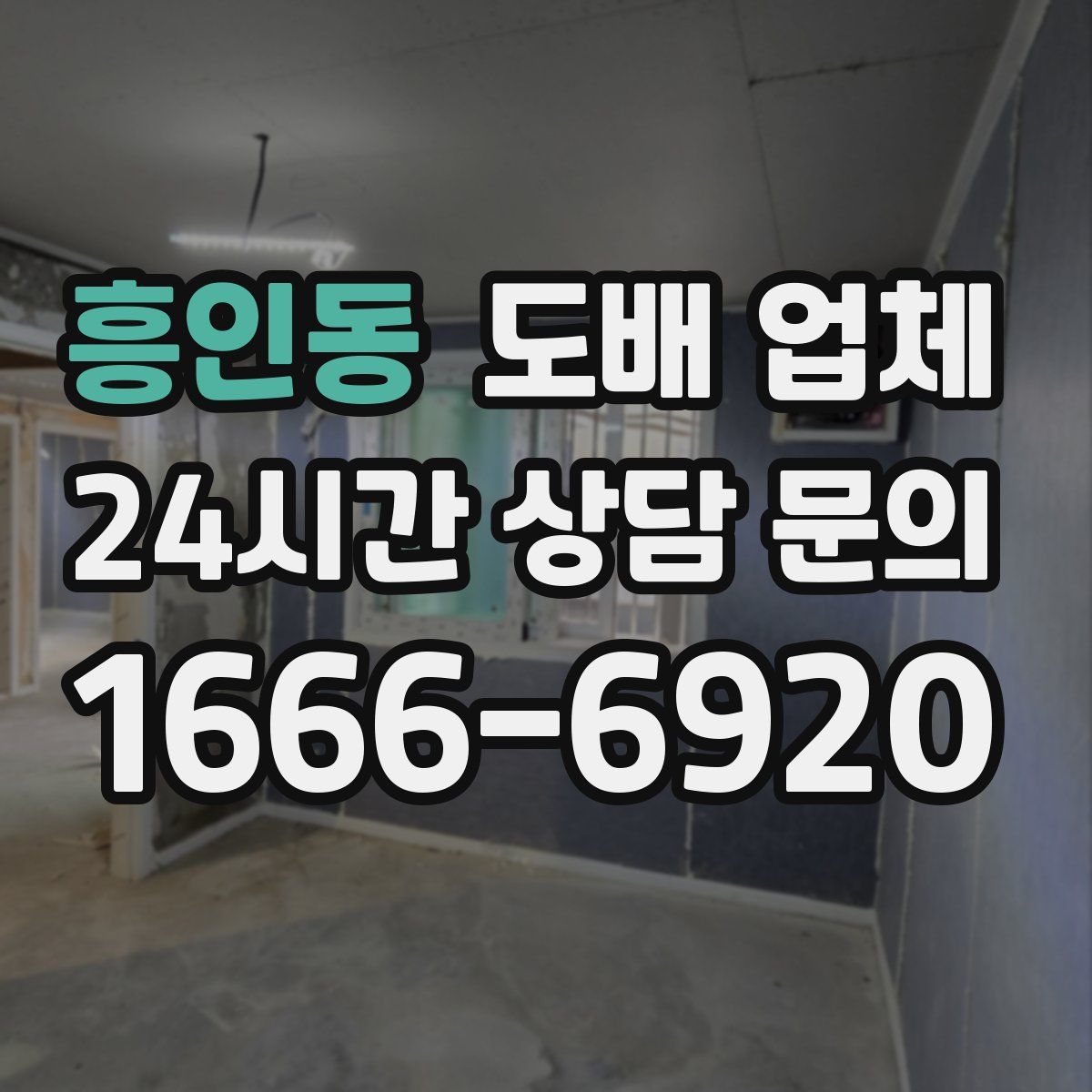 흥인동 도배 업체