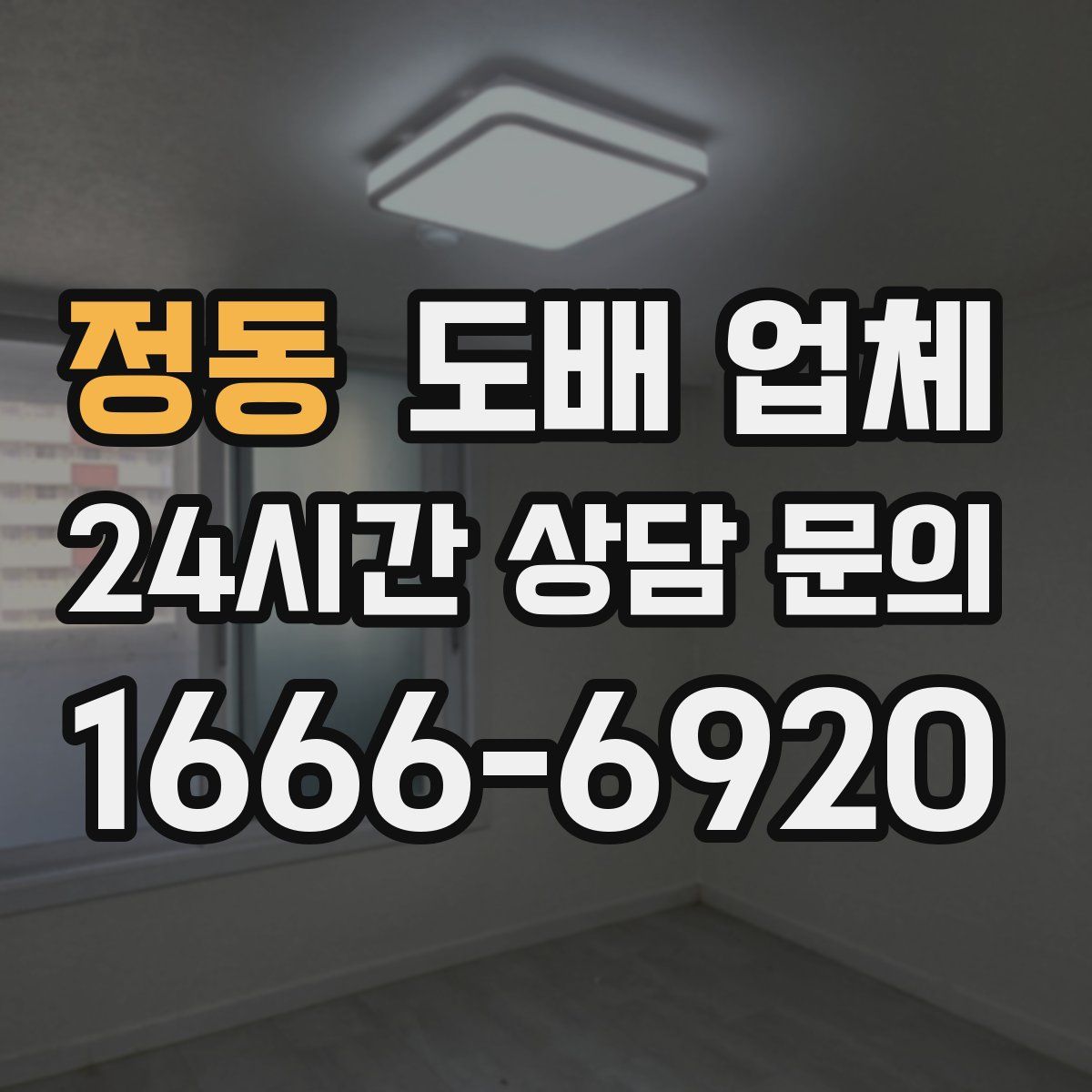 정동 도배 업체