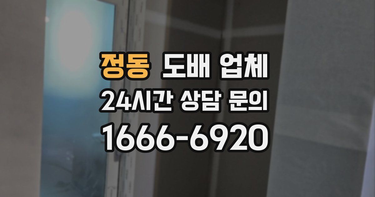 정동 도배 업체