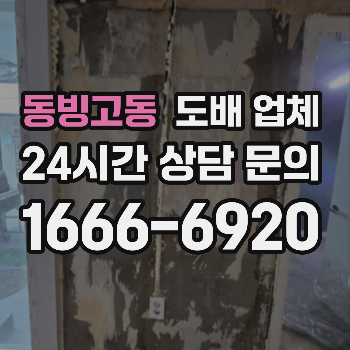 동빙고동 도배 업체