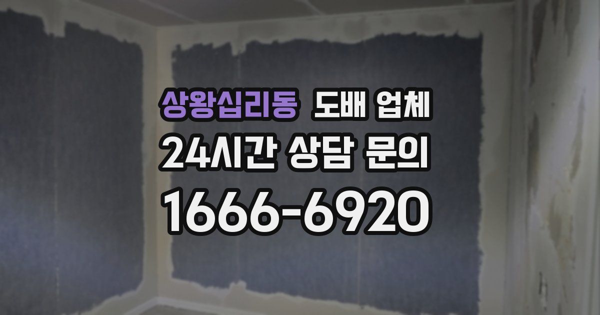 상왕십리동 도배 업체
