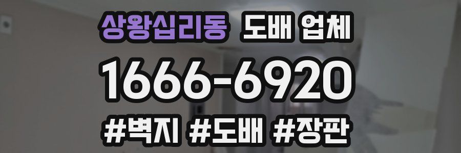상왕십리동 도배 업체