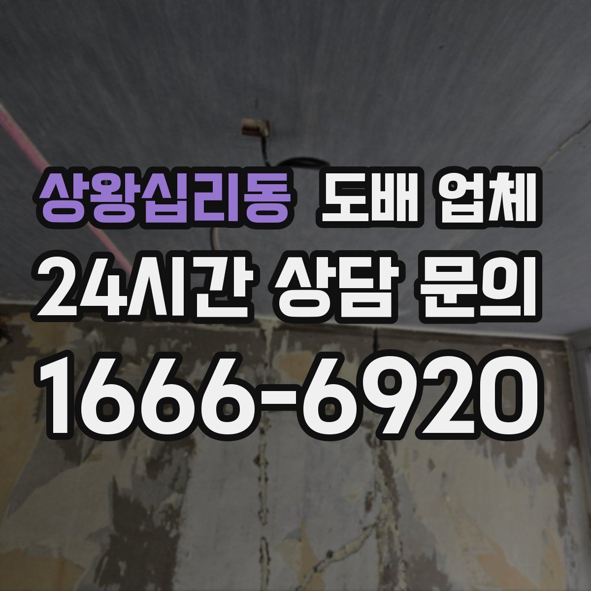 상왕십리동 도배 업체