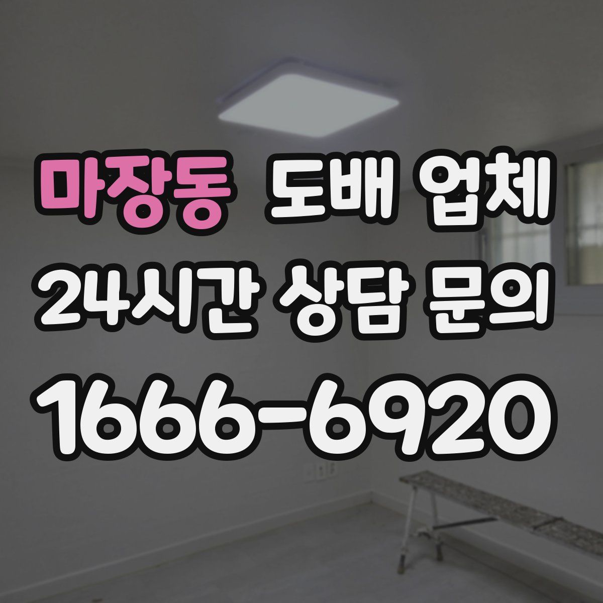 마장동 도배 업체