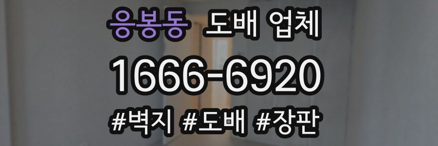 응봉동 도배 업체