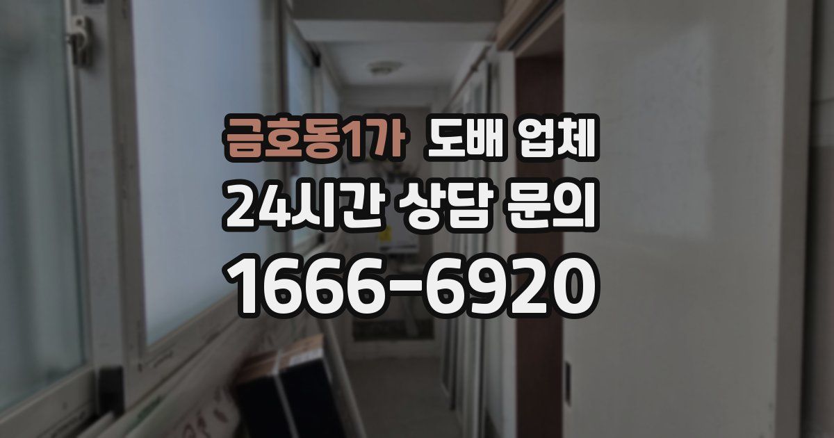 금호동1가 도배 업체