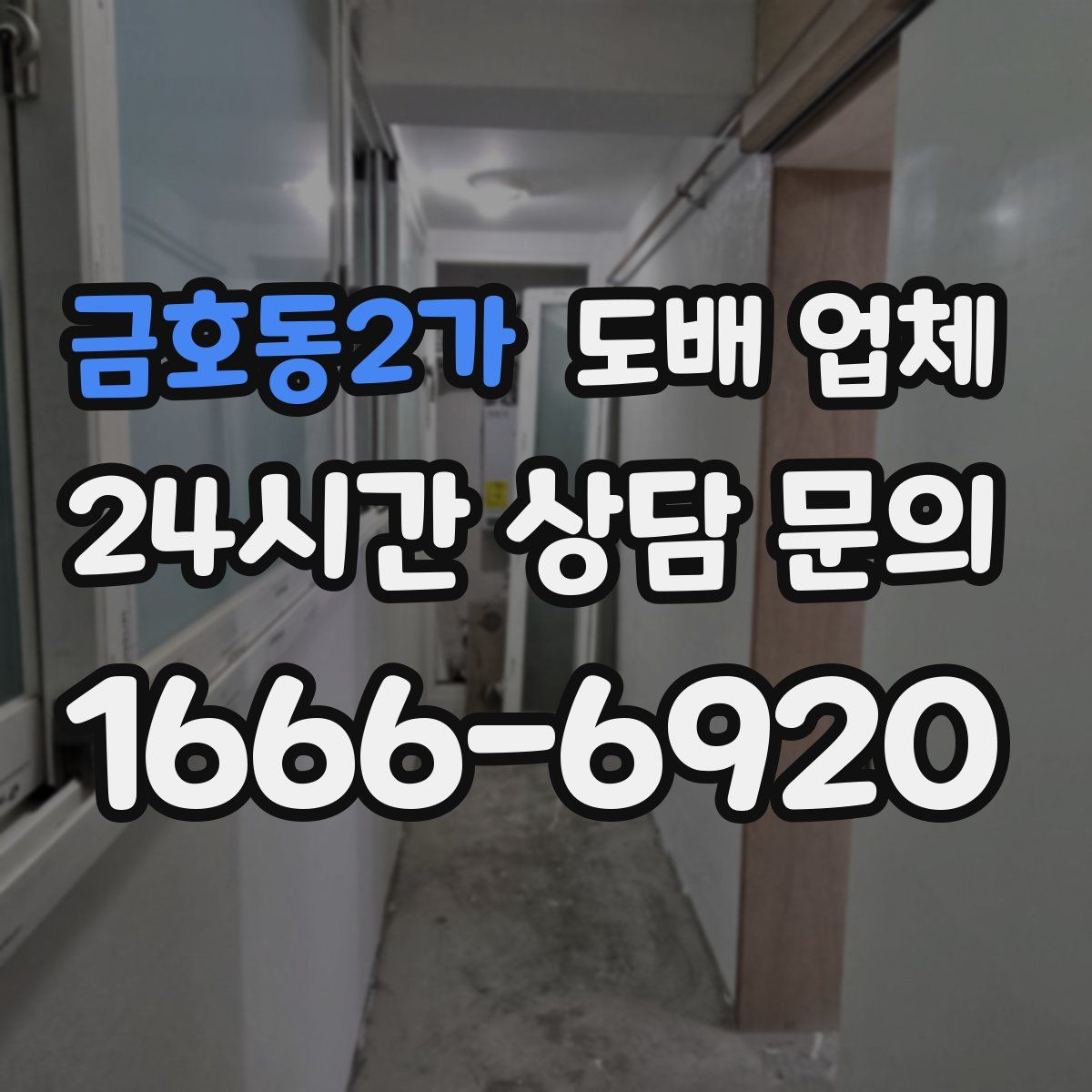 금호동2가 도배 업체