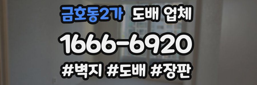 금호동2가 도배 업체