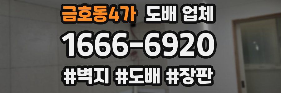 금호동4가 도배 업체
