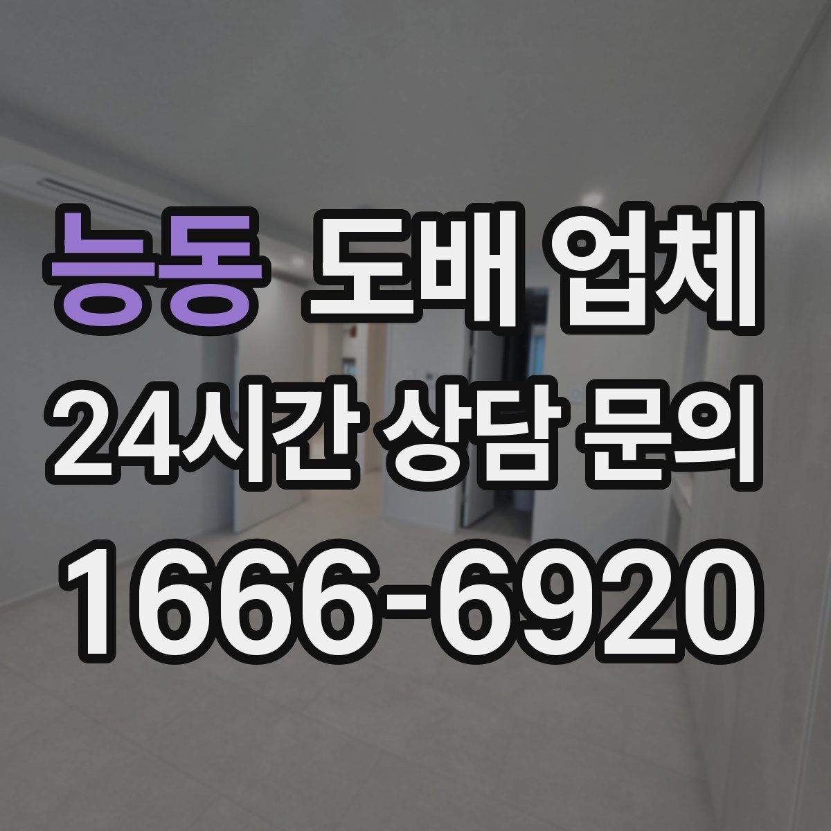 능동 도배 업체