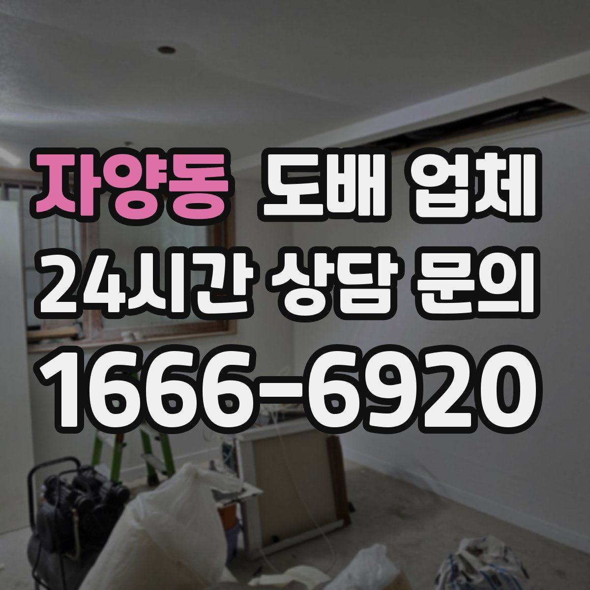 자양동 도배 업체