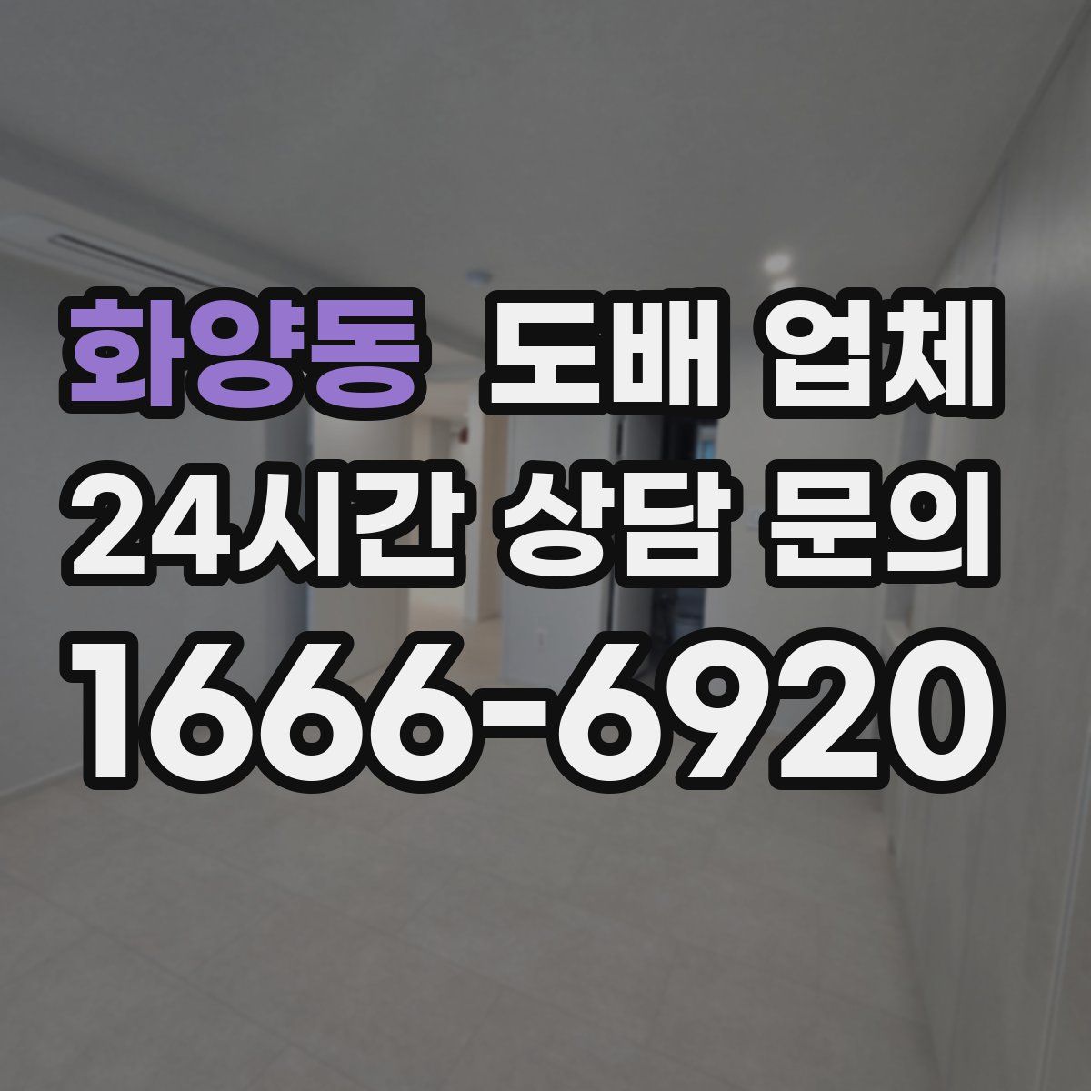 화양동 도배 업체