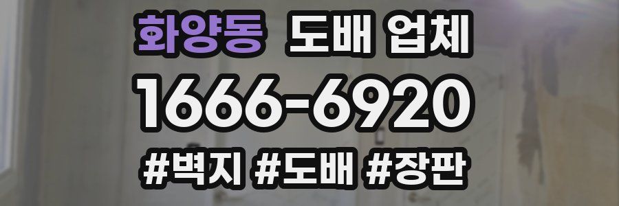 화양동 도배 업체