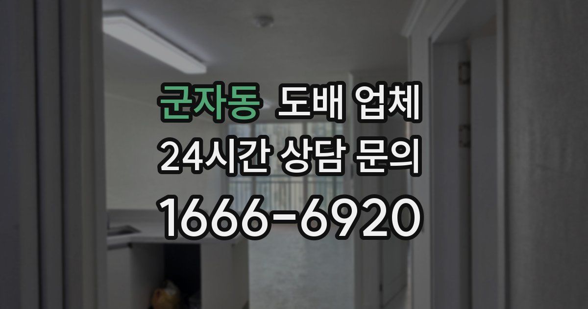 군자동 도배 업체