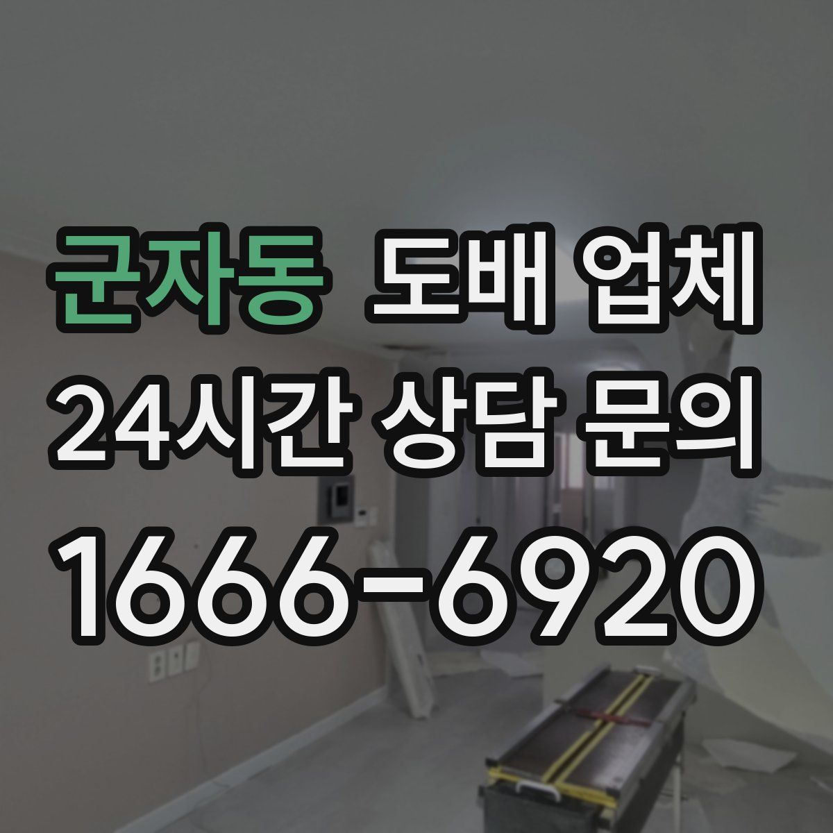 군자동 도배 업체