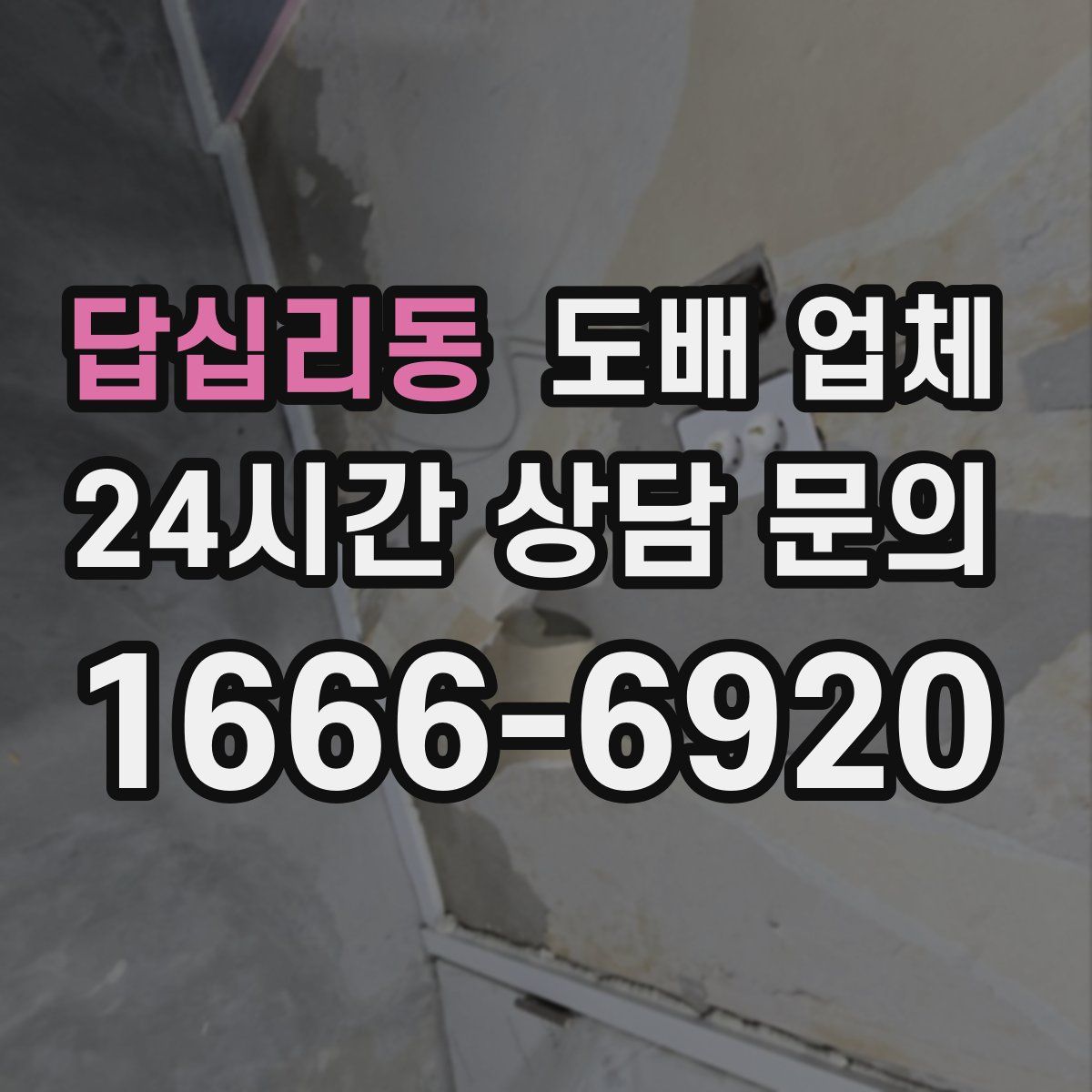 답십리동 도배 업체