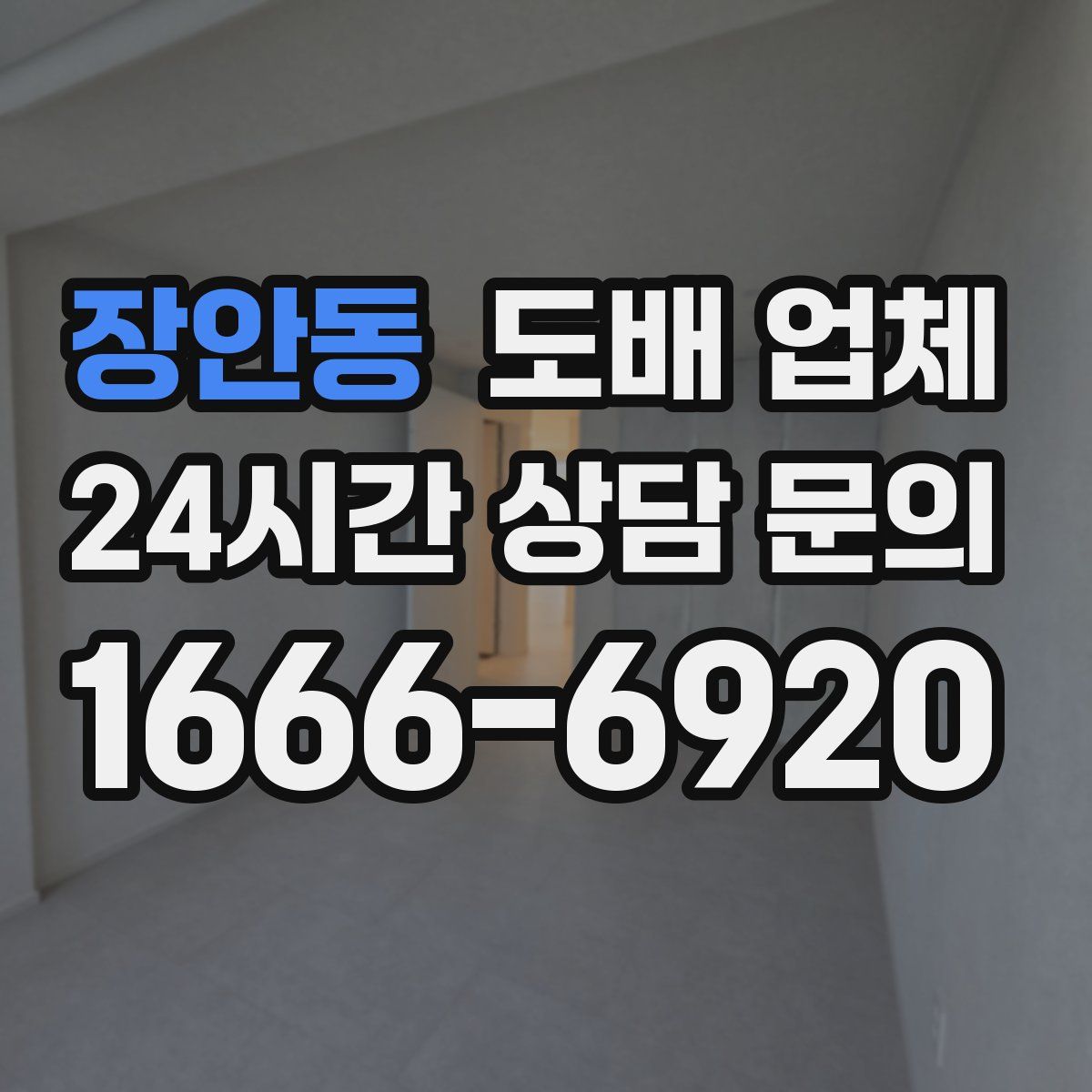 장안동 도배 업체
