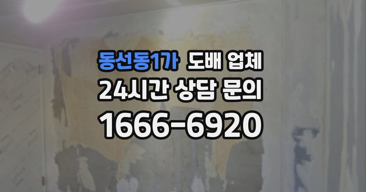 동선동1가 도배 업체