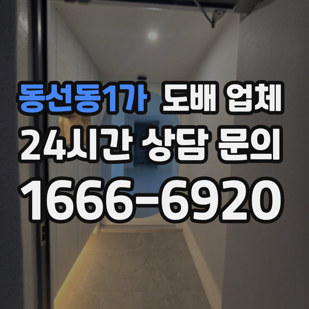 동선동1가 도배 업체